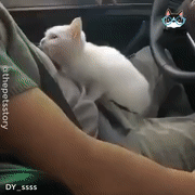 这才是猛男应该看的